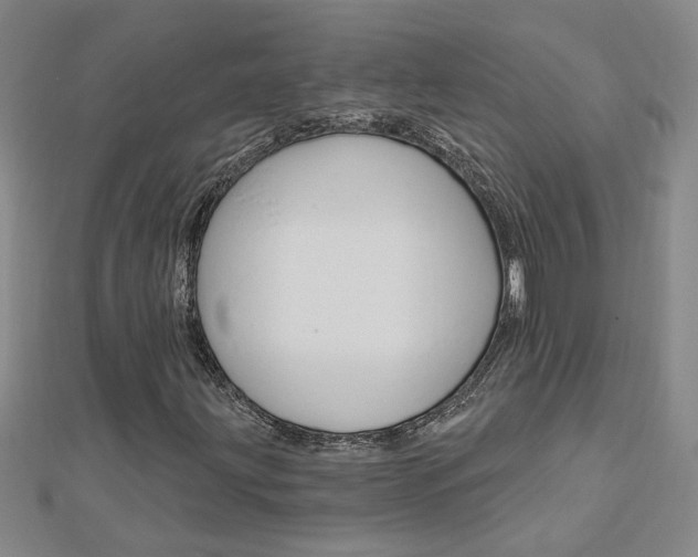 X0000113021203200908271026