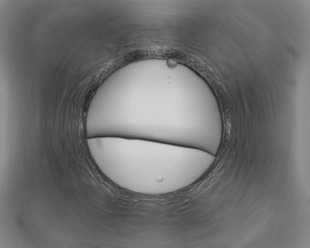 X0000113021204200908271026