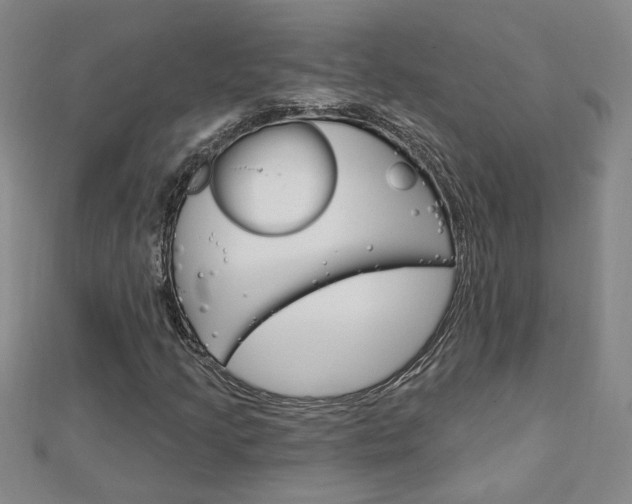 X0000113021205200908271026