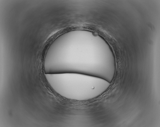 X0000113021206200908271026