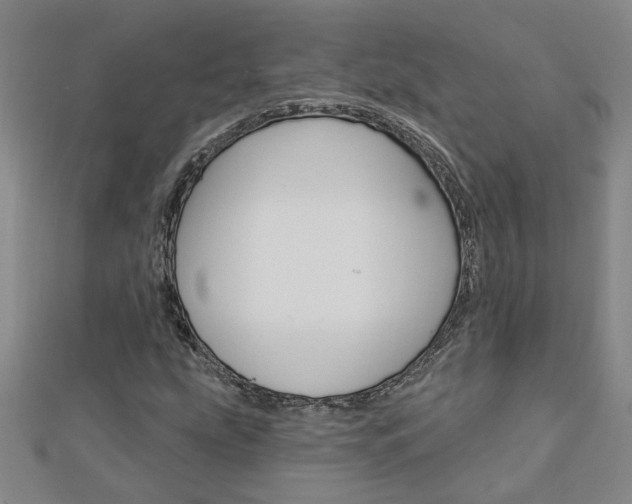 X0000113021207200908271026