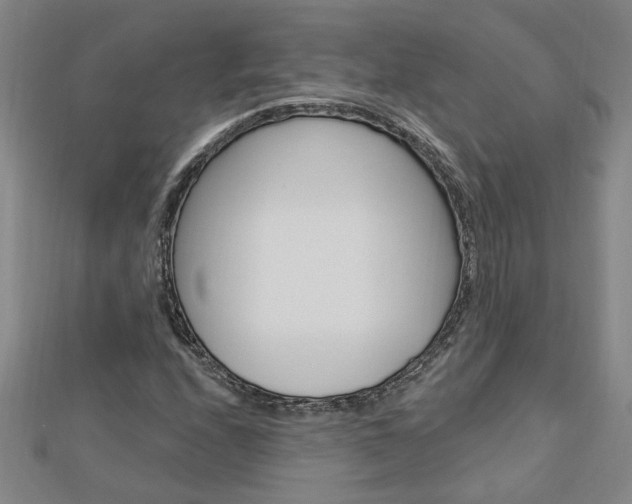 X0000113021208200908271026