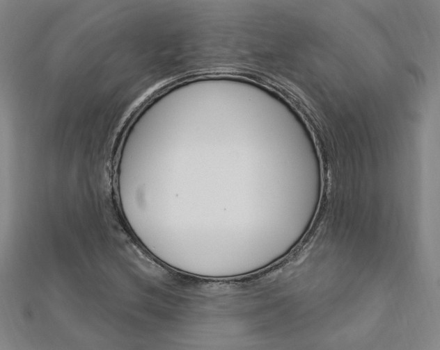 X0000113021212200908271026