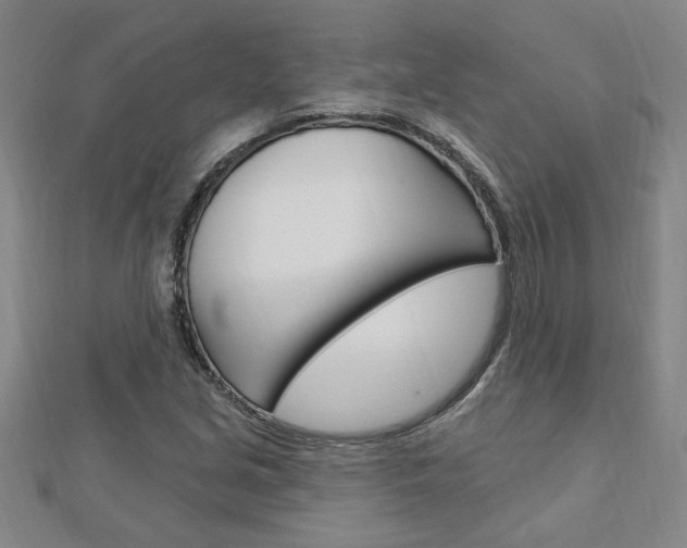 X0000113021213200908271026