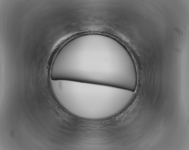 X0000113021214200908271026