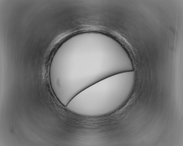 X0000113021215200908271026