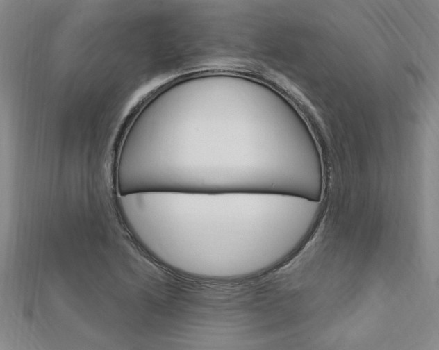 X0000113021222200908271026