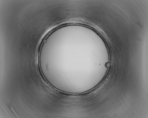 X0000113021224200908271026