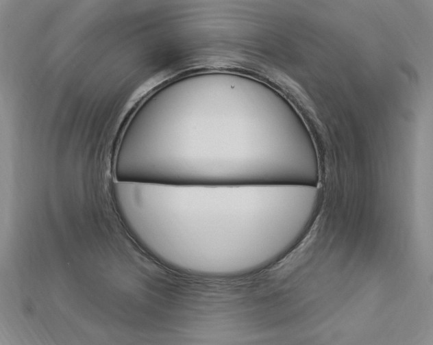 X0000113021226200908271026