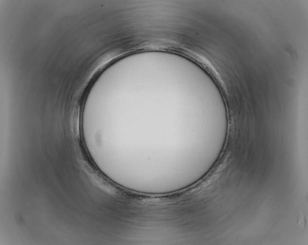 X0000113021227200908271026