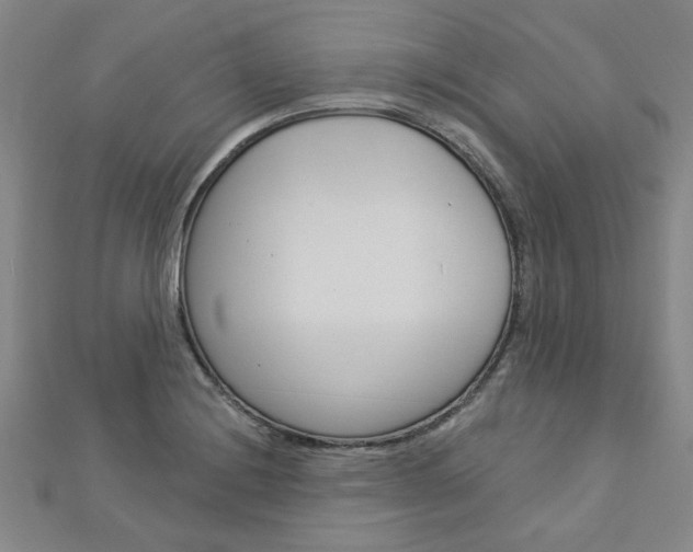 X0000113021228200908271027