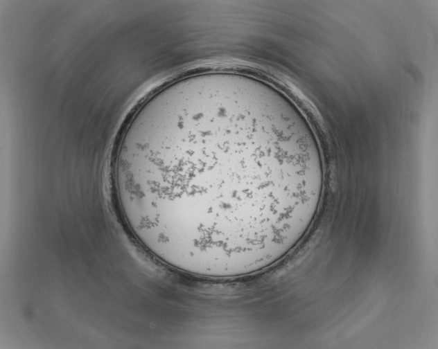 X0000113021229200908271027