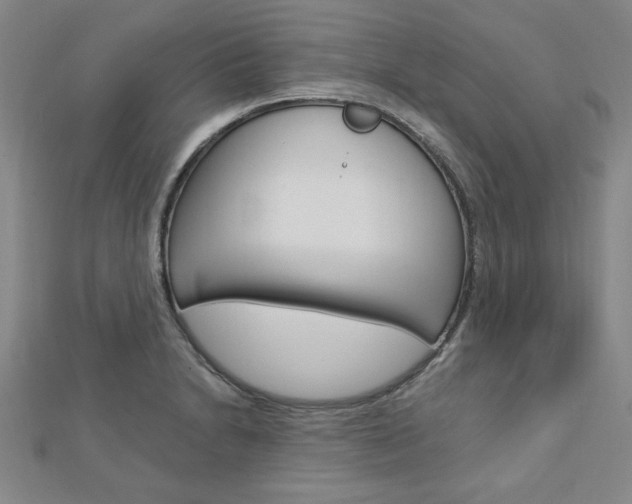 X0000113021230200908271027