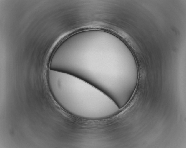 X0000113021232200908271027