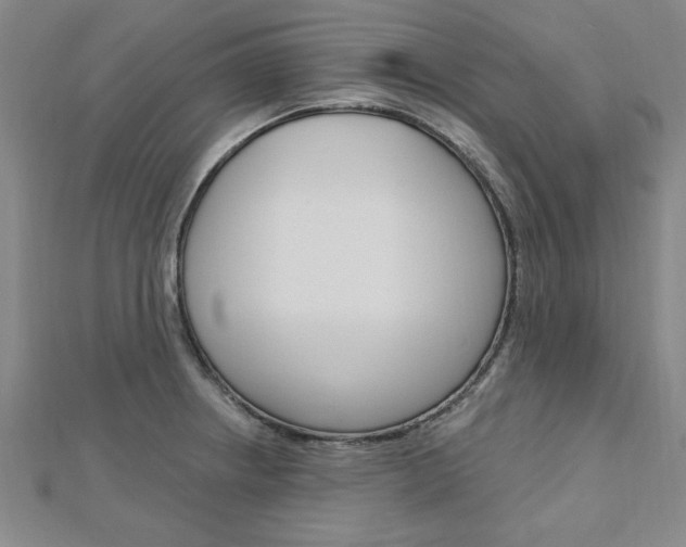 X0000113021234200908271027
