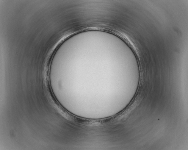 X0000113021235200908271027