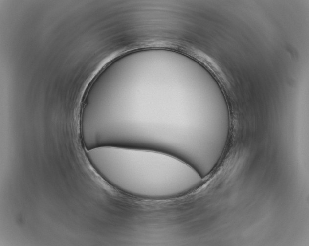 X0000113021236200908271027