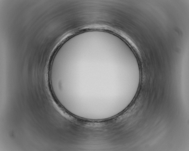 X0000113021237200908271027