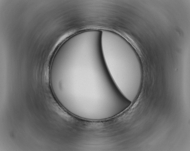 X0000113021238200908271027