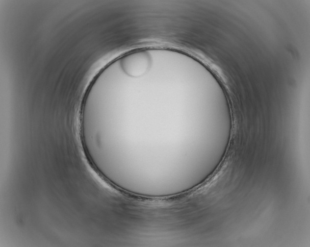 X0000113021239200908271027