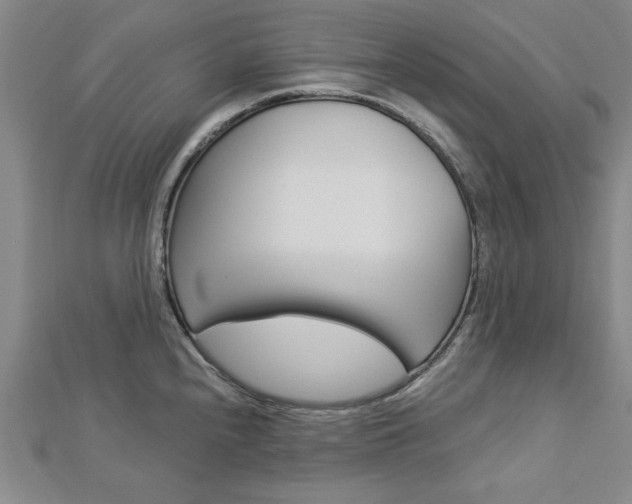 X0000113021240200908271027