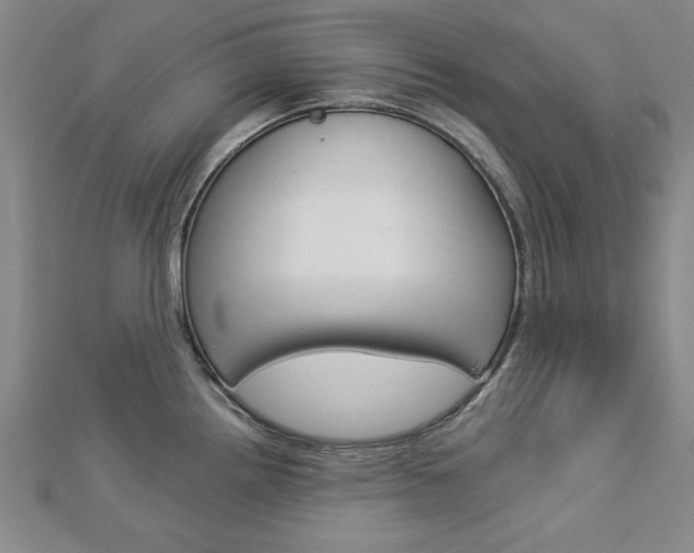 X0000113021242200908271027