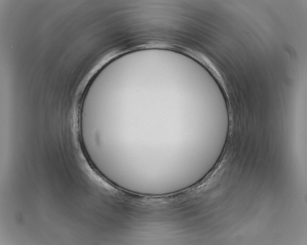 X0000113021243200908271027