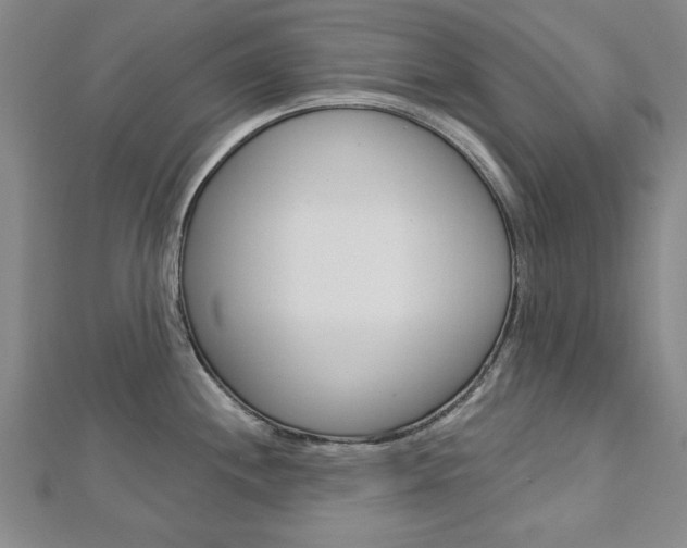 X0000113021244200908271027