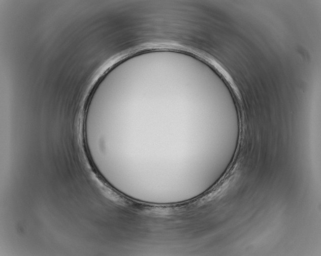 X0000113021245200908271027