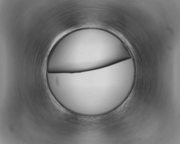 X0000113021246200908271027