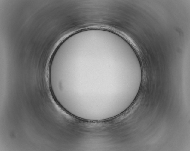 X0000113021247200908271027