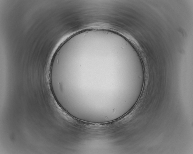 X0000113021248200908271027