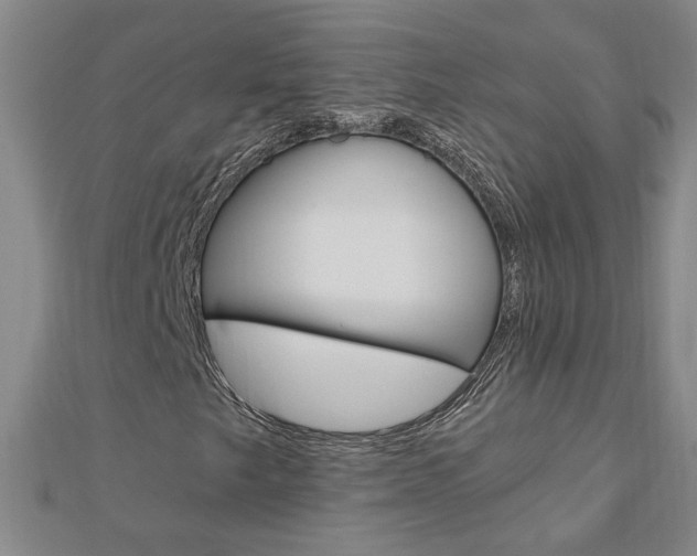 X0000113021249200908271026