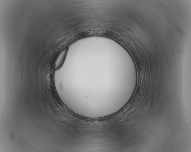 X0000113021250200908271026