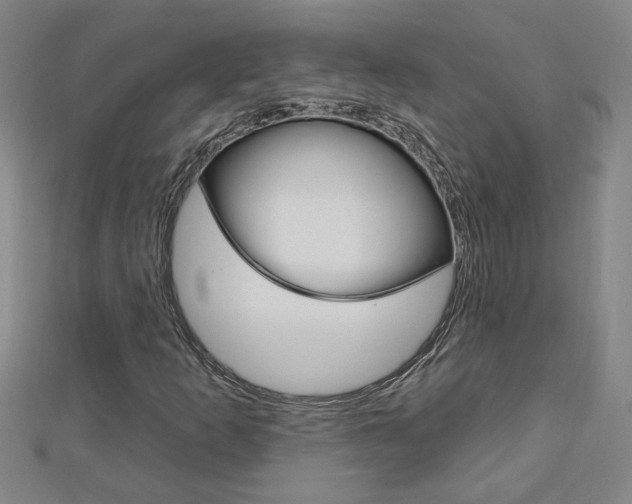 X0000113021253200908271026