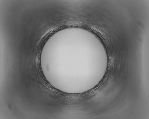 X0000113021254200908271026