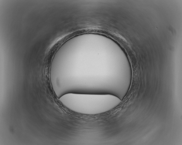 X0000113021255200908271026