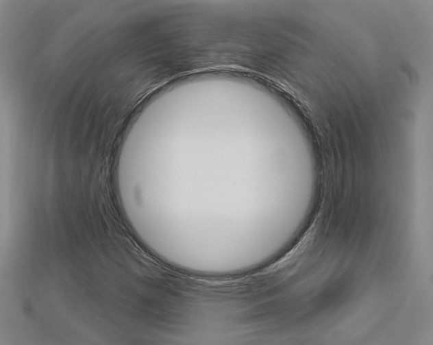 X0000113021257200908271026