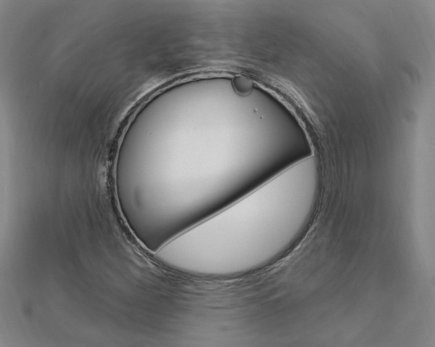 X0000113021260200908271026
