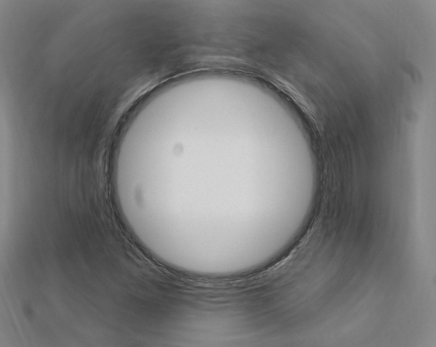 X0000113021261200908271026
