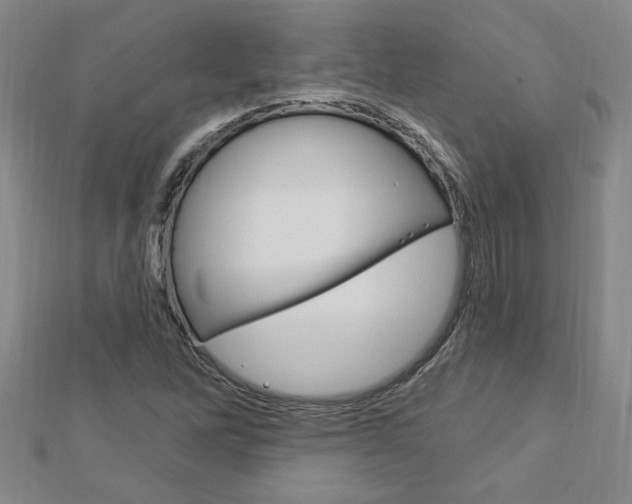 X0000113021262200908271026