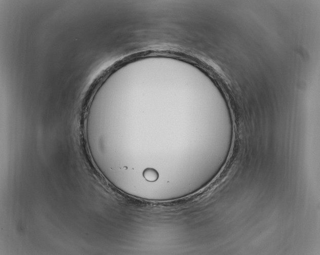 X0000113021263200908271026