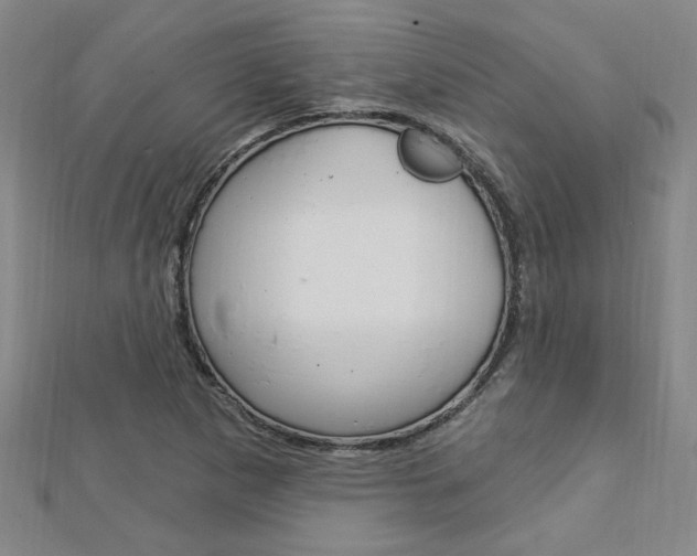 X0000113021265200908271026
