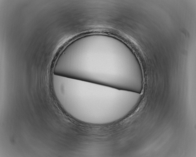 X0000113021267200908271026