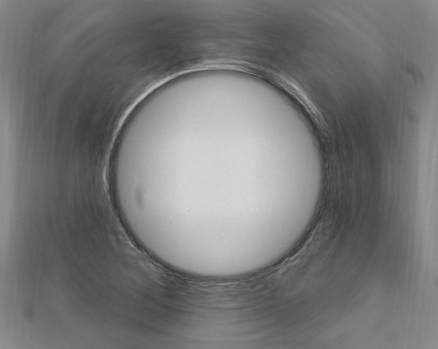 X0000113021268200908271026