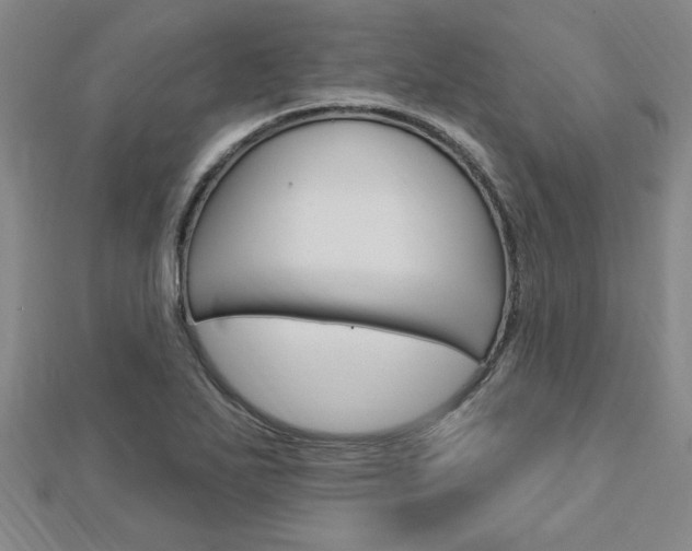 X0000113021271200908271026
