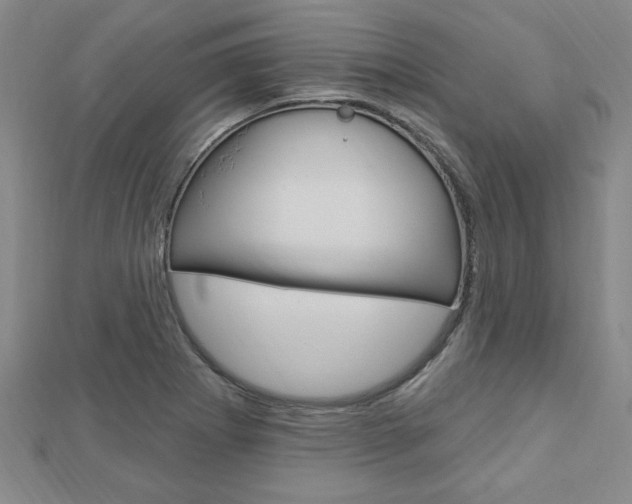 X0000113021273200908271026