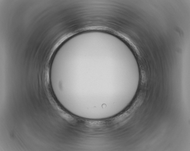 X0000113021274200908271026