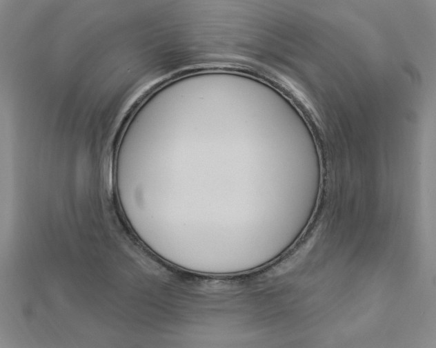 X0000113021275200908271026