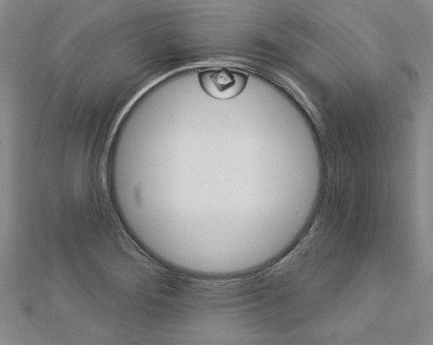 X0000113021276200908271026